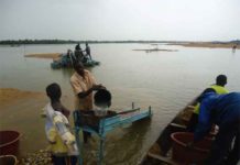 Des dragueurs en action dans le fleuve Niger