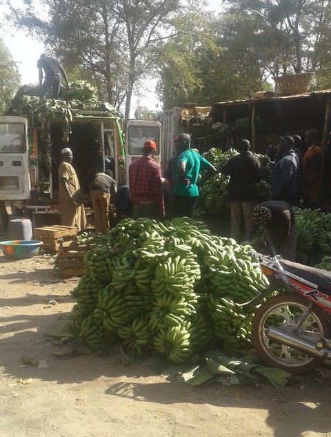 Marché de banane de Bamako ‘’namassadankan’’ : quand des agents de l’État veulent inciter les commerçants à la violence !
