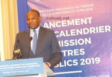 le Mali lancera 520 milliards FCFA de titres publics
