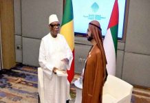 Les Émirats Arabes Unis intéressés par le transport aérien et l’Agriculture au Mali