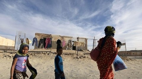 les camps de Tindouf