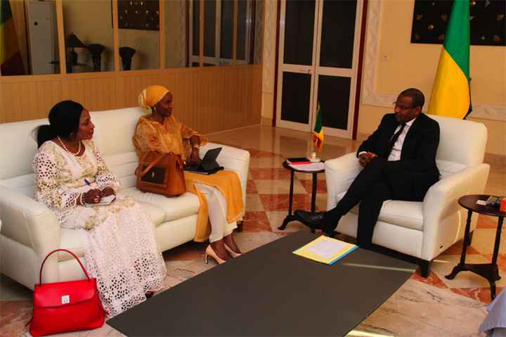 Primature : Les partenaires réitèrent leur engagement aux côtés du Mali