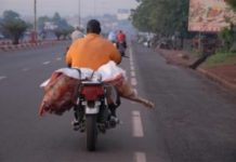 la viande qu’il transporte