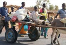 Sur la route de Bandiagara au Mali