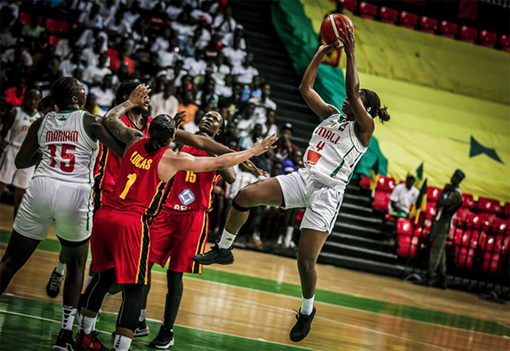 Afrobasket féminin : une nouvelle compétition commence