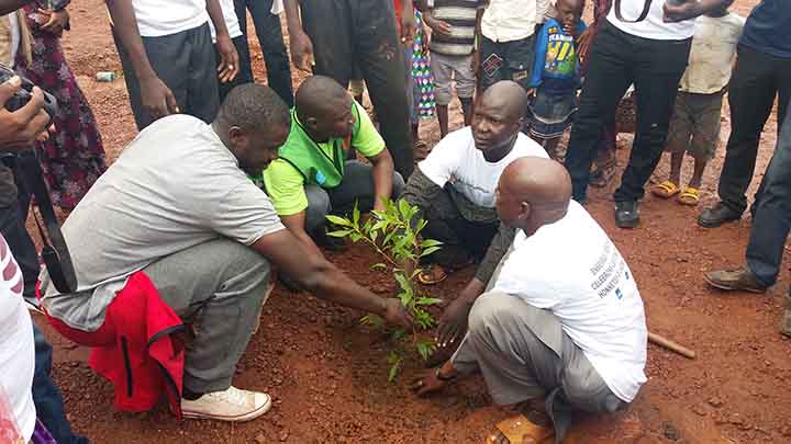 Environnement : L’ONG Accountability Lab-Mali reboise  l’école de Sabalibougou II