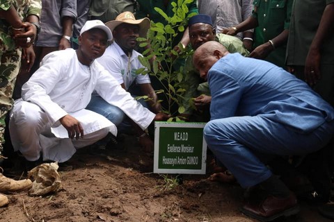 Environnement : 200 hectares en phase de reboisement dans les cercles de Kéniéba, Kita et Bafoulabé