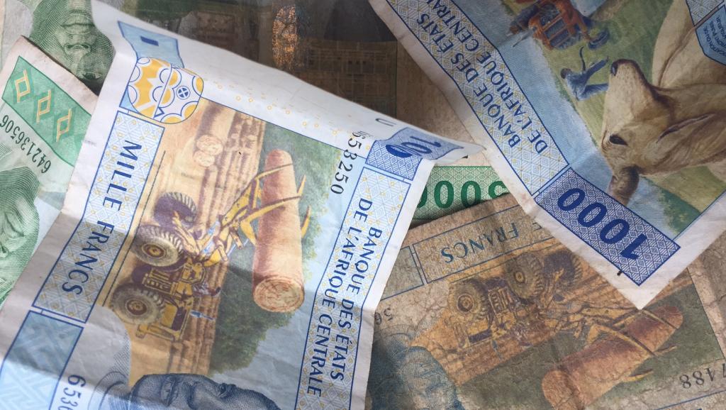 Franc CFA: débat autour d’une nouvelle monnaie ouest-africaine organisé à Paris