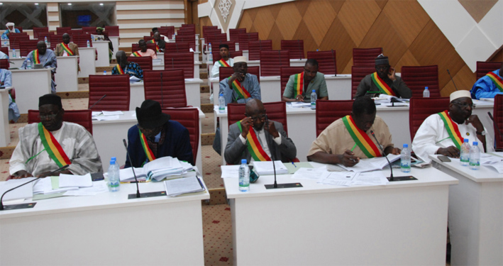 Femmes et législatives au Mali : Se battre corps et âme pour être élue !