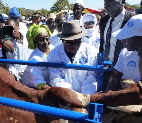 Campagne de vaccination du cheptel 2019/2020 : IBK donne le ton