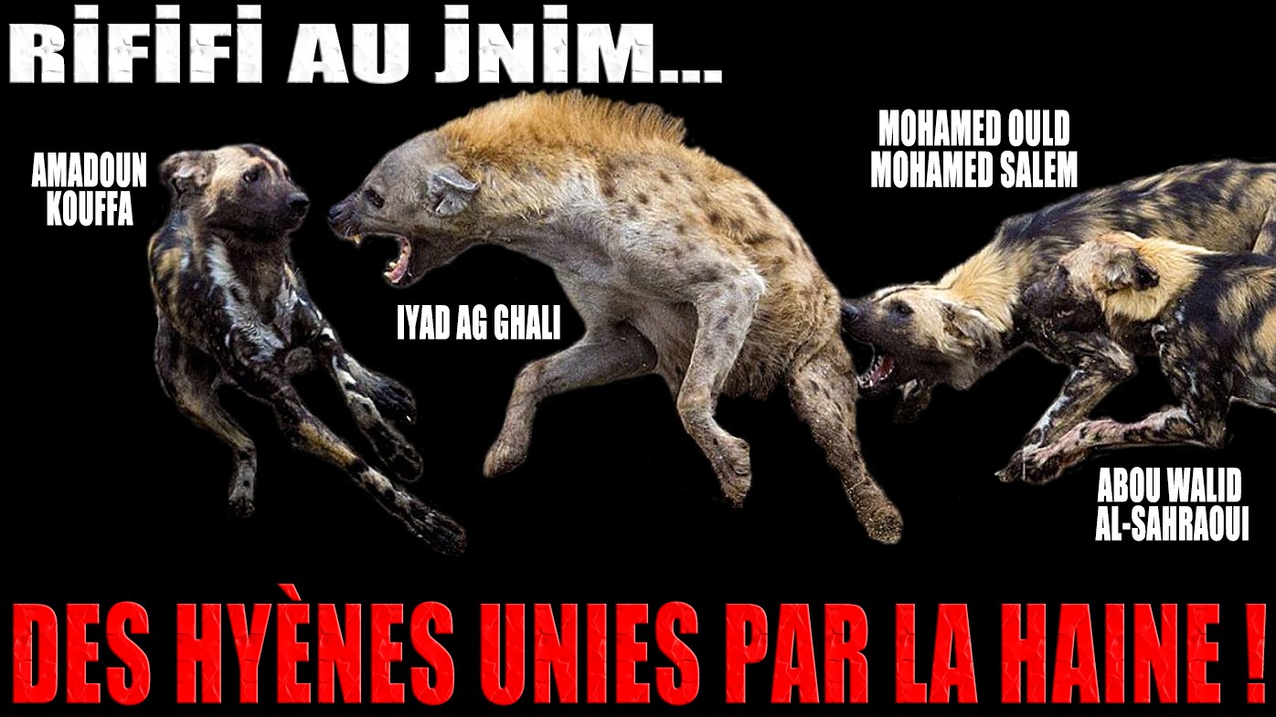 Du rififi au JNIM
