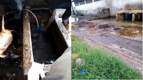 À l’abattoir frigorifique de Bamako :  "Les conditions d'hygiène sont exécrables"