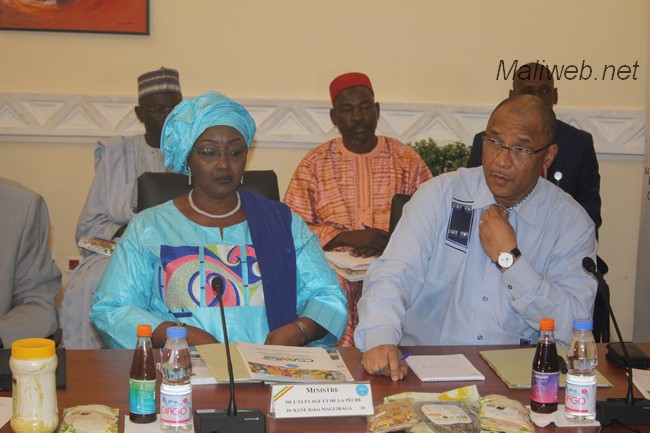 Mali : 10,5 millions T  de productions  céréalières en 2019 et 11 093 093 T prévues en 2020
