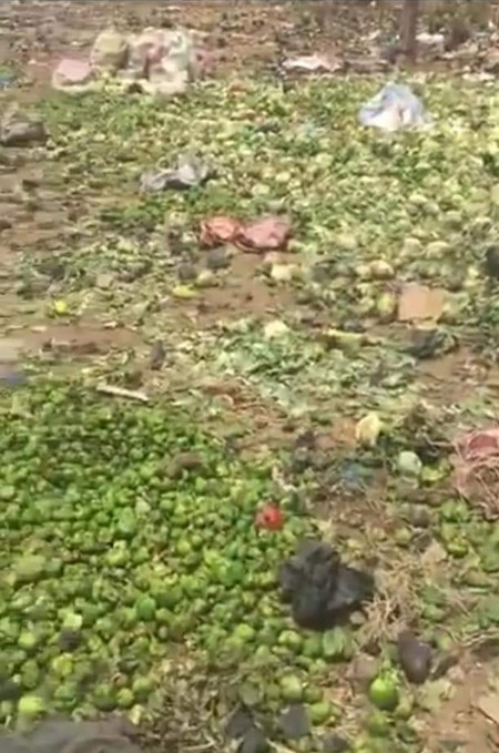 Maraîchage : Une mine d’or pour la jeunesse