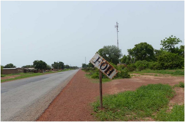 Mali:les producteurs du coton adoptent la politique du champ vide