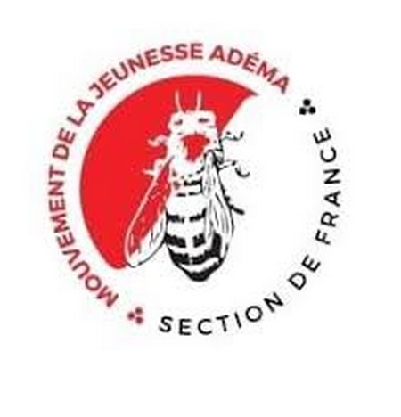 Kayes : l’Adéma-Pasj, implanté dans les 28 communes du cercle avec 150 conseillers