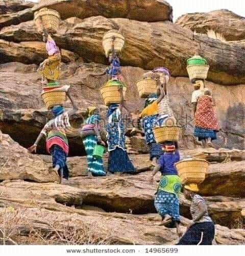 Pays dogon : Retour progressif de la paix entre les communautés !