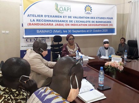 Echalote de Bandiagara: Lancement de la phase finale du processus de labélisation