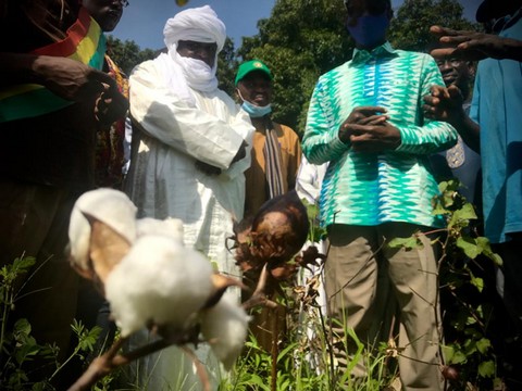 CMDT :  Le PDG et son ministre en tournée