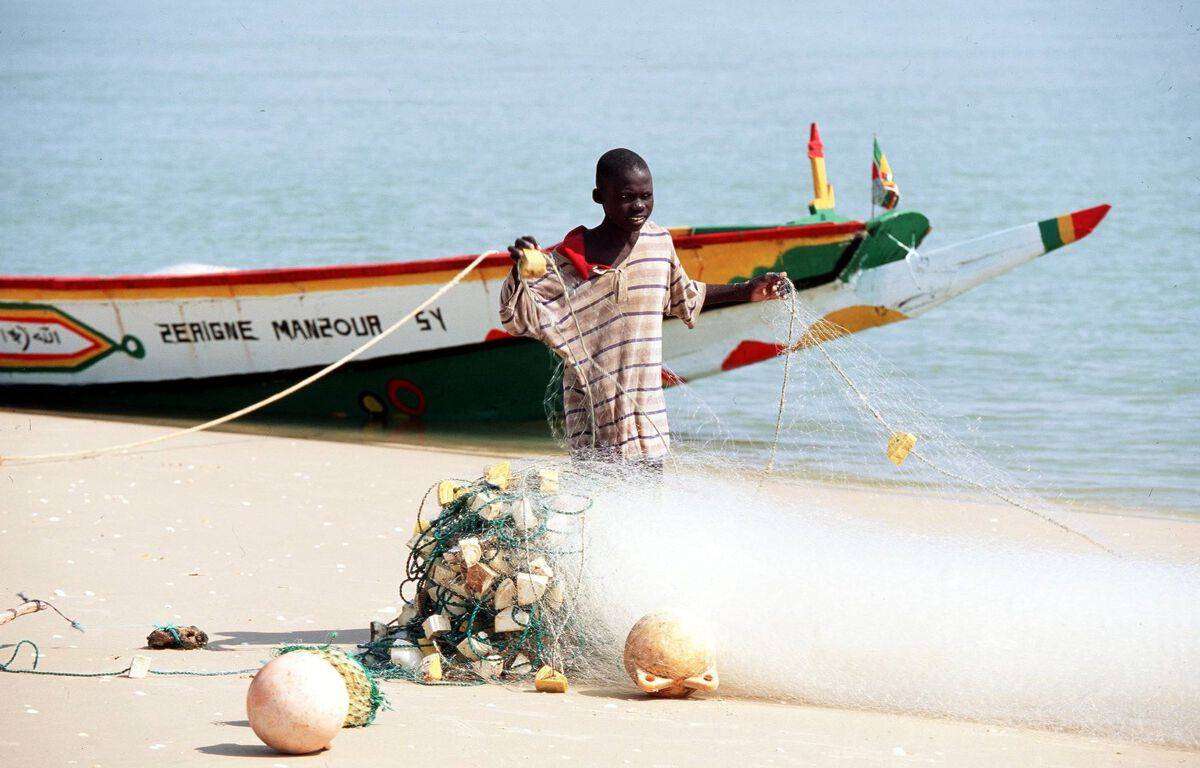 Sénégal : La maladie de peau qui touche les pêcheurs reste un mystère
