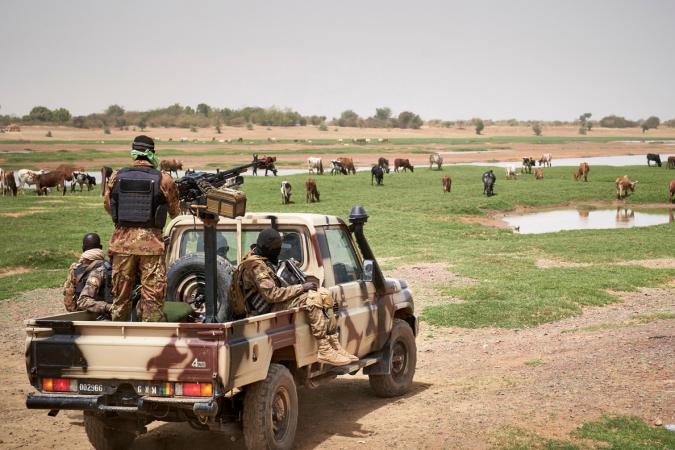 Interpellation puis libération d'Allemands membres d'une ONG au Mali