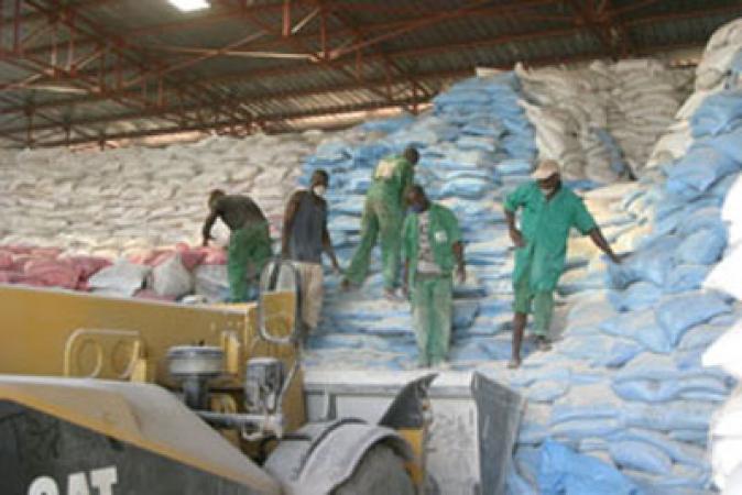 Fourniture des intrants agricoles :  Quand la professionnalisation s’impose