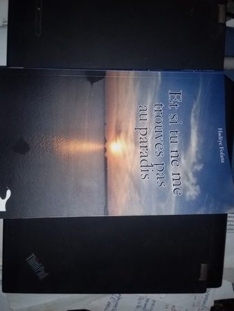Livre : « Et si tu ne me trouves pas au paradis » ou la recherche du tableau manquant d’une vie