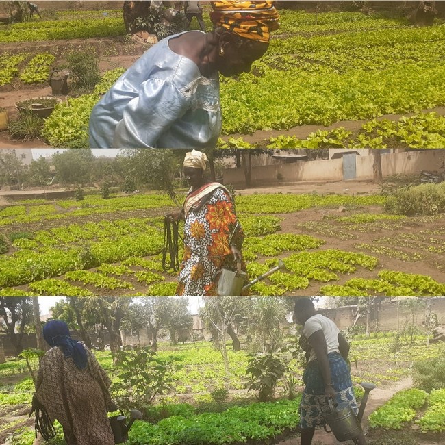 Femmes/Covid-19 :  Entre résilience et relance économique