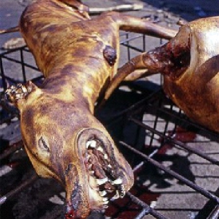 Trafic de viande de chien au Mali :  Un business florissant dans la région de Ségou