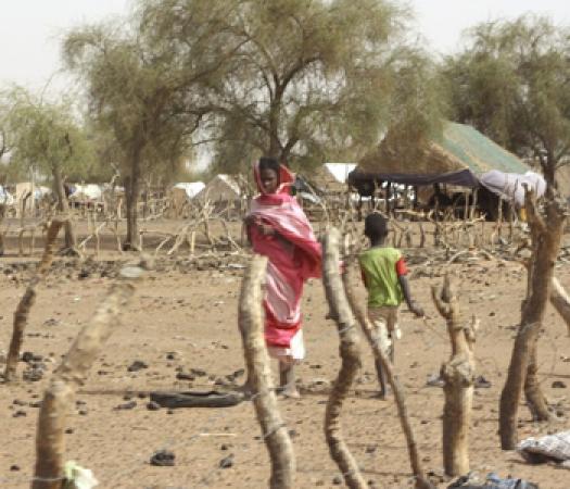 Insécurité au Sahel : À bout de souffle et coupée du monde, « la population pactise avec le diable » pour survivre