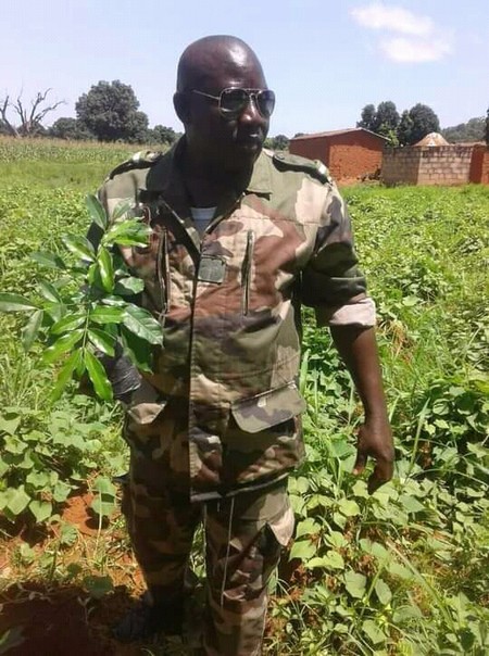 Major Ibrahim Camara, chef central des eaux et forêts à Koutiala : « Le phénomène qui favorise la déforestation à Koutiala, c’est l’implantation des multitudes d’usines qui fonctionnent avec du bois »