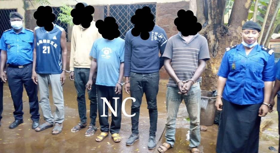 Mali : une bande de voleurs de véhicules aux arrêts