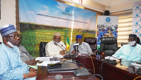 Campagne agricole : 15,6 milliards FCFA pour la subvention des intrants