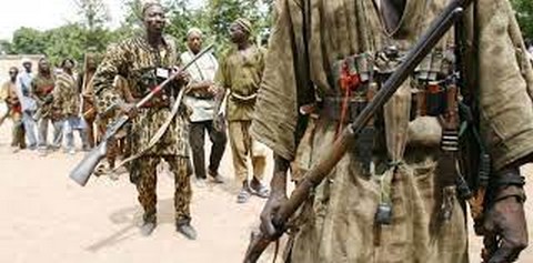 Accrochages opposant chasseurs et terroristes : Des dizaines des morts