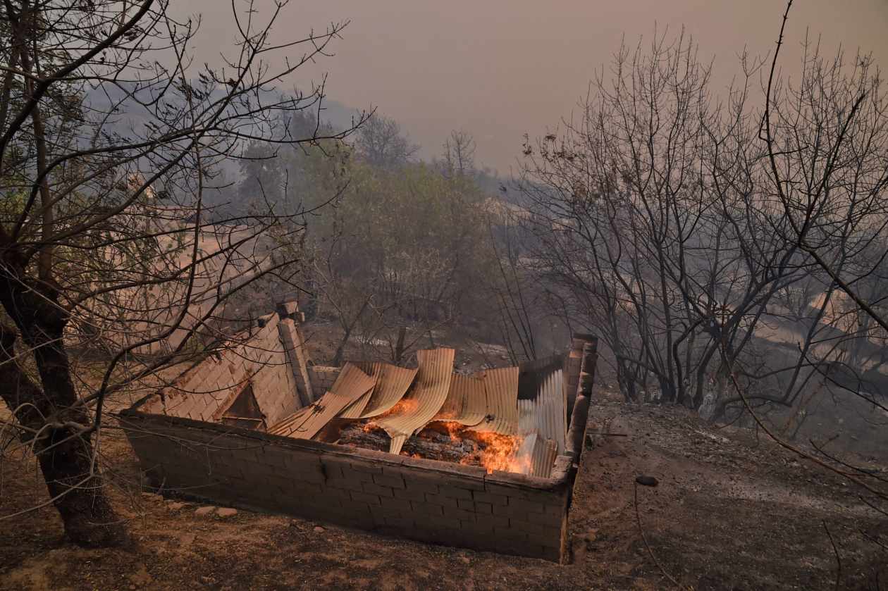 Incendies en Algérie : au moins 65 morts, selon le dernier bilan