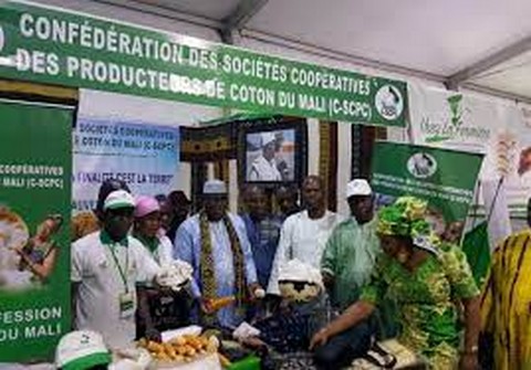 Confédération des Sociétés coopératives des Producteurs de coton (C-SCPC) Yacouba Traoré élu à la d’un bureau consensuel
