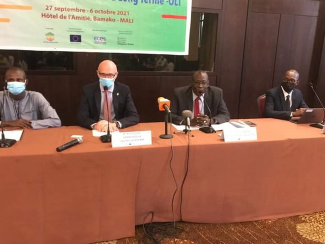 Élections 2022 :  L’UE entend accompagner le gouvernement malien