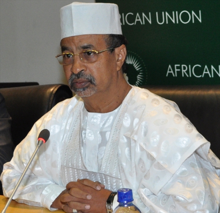 Mahamat Saleh Anadif sur les élections au Mali :  « Les élections ne peuvent pas se tenir en février, c’est clair mais… »