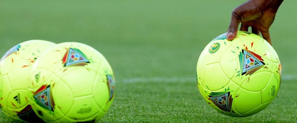 Nigeria : Un nouveau sélectionneur en observateur à la CAN 2021