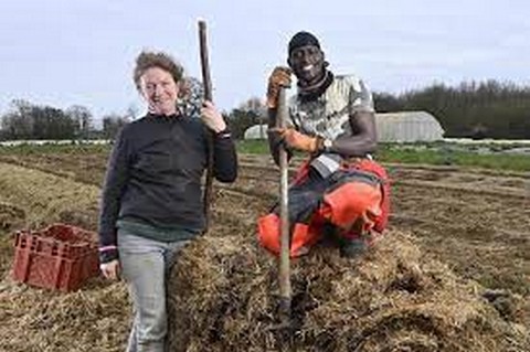 Une maraîchère à un Malien :   « Malgré nous, on est dans l’illégalité »