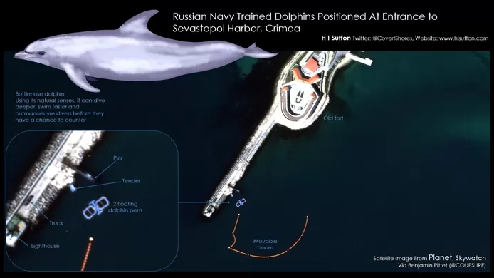 La Russie utilise deux dauphins de guerre pour protéger sa base navale de Sébastopol