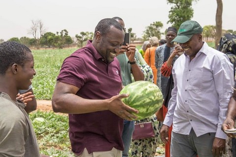 Consommons malien : L'entreprise Diazon, filiale d'IBI Group, vend de melon super sucré à 750 FCFA le kilo !