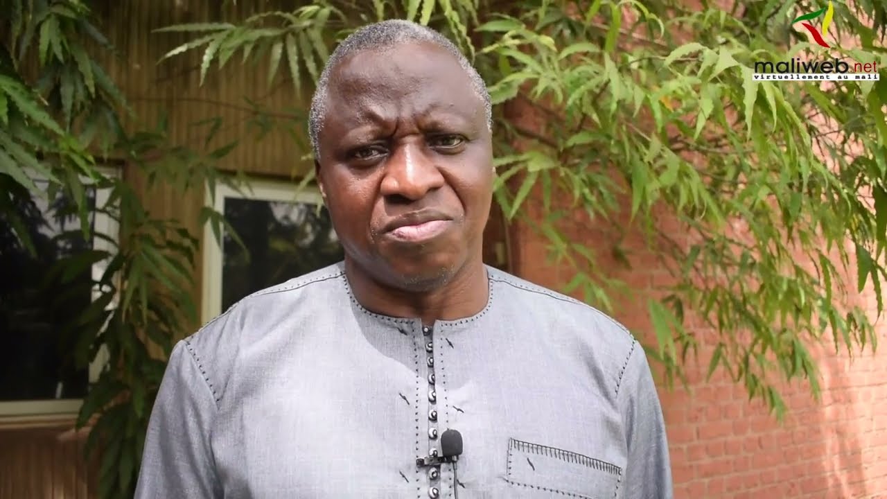 Dramane Coulibaly, CESAO-AI : « La souveraineté énergétique des pays africains dépendra des énergies renouvelables »
