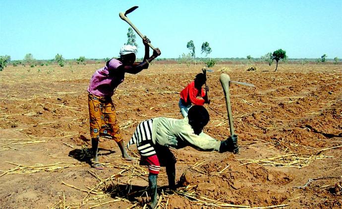 23ème édition de la quinzaine de l’environnement : La lutte contre la désertification et la sécheresse au cœur des échanges