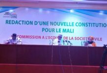Constitution du 22 juillet 2023 du Mali : Stop à l’idéologie économique ultralibérale !