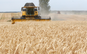 Trois entreprises étasuniennes contrôlent plus d’un tiers des terres agricoles ukrainiennes