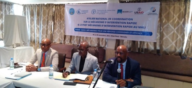 Atelier conjoint FAO-Cluster Sécurité Alimentaire-PAM : Les acteurs du domaine cogitent pour une réponse coordonnée