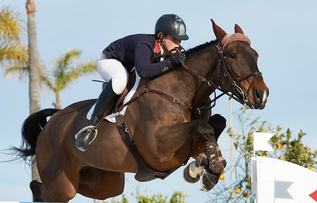 Salon international du cheval d'el Jadida au Maroc : le prince héritier Moulay El Hassan donne le coup d'envoi de la 13ème édition