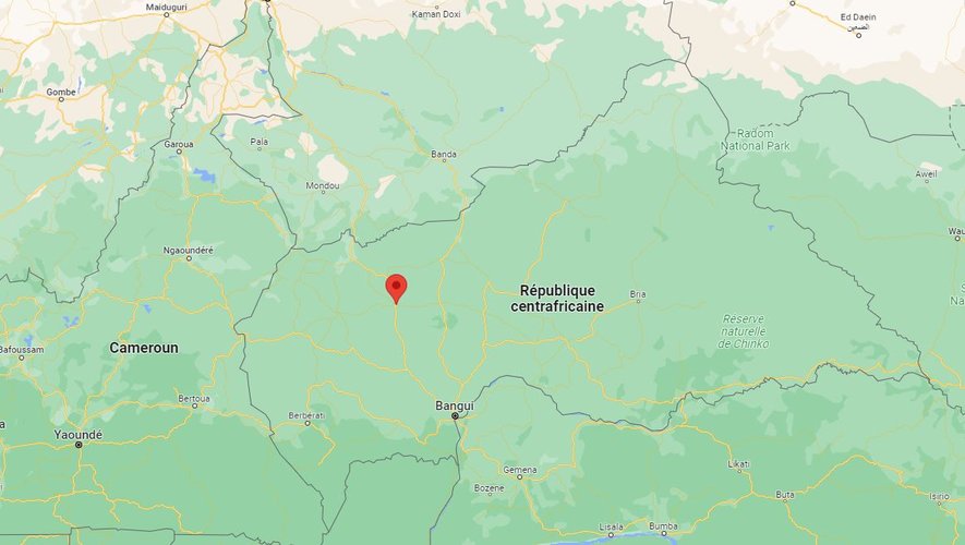 Centrafrique : un avion venu de l'étranger a bombardé des militaires et leurs alliés russes, assure le gouvernement