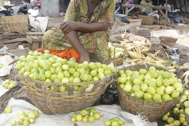 Citron : Un fruit qui se fait rare sur le marché